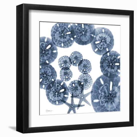 Collage of Sand Dollars and Starfish-Albert Koetsier-Framed Art Print