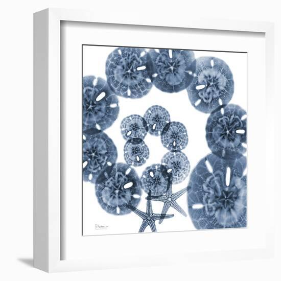 Collage of Sand Dollars and Starfish-Albert Koetsier-Framed Art Print