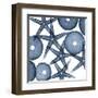 Collage of Starfish and Sea Urchins-Albert Koetsier-Framed Art Print