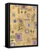 Collage of the Flower Blue Meadow-Hope Street Designs-Framed Stretched Canvas