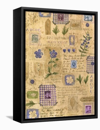 Collage of the Flower Blue Meadow-Hope Street Designs-Framed Stretched Canvas