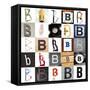 Collage With 25 Images With Letter B-gemenacom-Framed Stretched Canvas