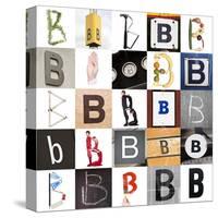 Collage With 25 Images With Letter B-gemenacom-Stretched Canvas
