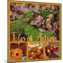 Collage with Autumnal Motifs-Andrea Haase-Mounted Photographic Print