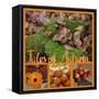 Collage with Autumnal Motifs-Andrea Haase-Framed Stretched Canvas