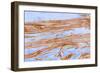 Collagen Fibres, TEM-Thomas Deerinck-Framed Photographic Print