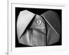 Collar of a Shirt-Winfred Evers-Framed Photographic Print