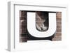 Collared Doves (Streptopelia Decaocto) Nesting in Letter U of Neon Advertising Sign-Konrad Wothe-Framed Photographic Print