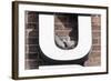 Collared Doves (Streptopelia Decaocto) Nesting in Letter U of Neon Advertising Sign-Konrad Wothe-Framed Photographic Print