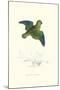 Collared Parakeet - Bolbopsittacus Lunulatus-Edward Lear-Mounted Art Print