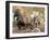 Collared Peccaries-null-Framed Photographic Print