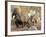 Collared Peccaries-null-Framed Photographic Print