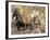 Collared Peccaries-null-Framed Photographic Print