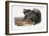 Collared Peccary, 1846-John James Audubon-Framed Giclee Print