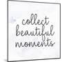 Collect-Kimberly Allen-Mounted Art Print