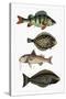Stretched Canvas