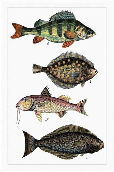 Art Print, , large
