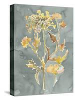 Collected Florals I-Chariklia Zarris-Stretched Canvas