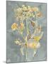 Collected Florals I-Chariklia Zarris-Mounted Art Print