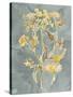 Collected Florals I-Chariklia Zarris-Stretched Canvas