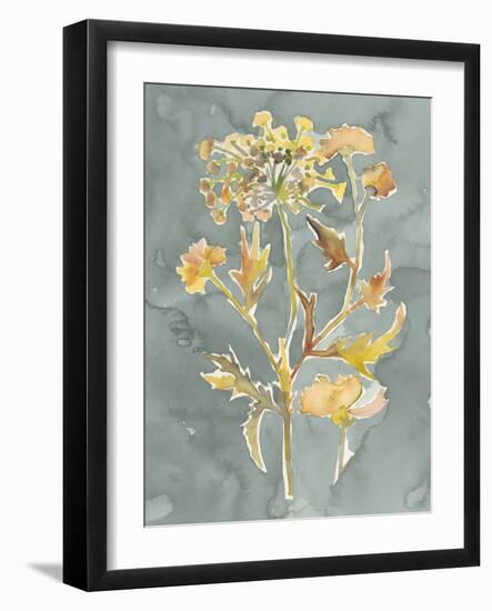 Collected Florals I-Chariklia Zarris-Framed Art Print