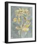 Collected Florals I-Chariklia Zarris-Framed Art Print