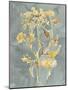 Collected Florals I-Chariklia Zarris-Mounted Art Print