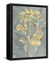 Collected Florals I-Chariklia Zarris-Framed Stretched Canvas