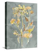 Collected Florals I-Chariklia Zarris-Stretched Canvas