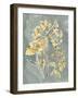 Collected Florals II-Chariklia Zarris-Framed Art Print