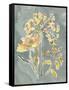 Collected Florals II-Chariklia Zarris-Framed Stretched Canvas