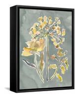 Collected Florals II-Chariklia Zarris-Framed Stretched Canvas