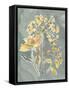 Collected Florals II-Chariklia Zarris-Framed Stretched Canvas