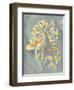 Collected Florals II-Chariklia Zarris-Framed Art Print