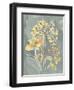 Collected Florals II-Chariklia Zarris-Framed Art Print