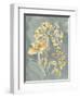 Collected Florals II-Chariklia Zarris-Framed Art Print