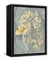 Collected Florals II-Chariklia Zarris-Framed Stretched Canvas