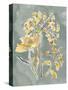 Collected Florals II-Chariklia Zarris-Stretched Canvas