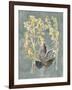 Collected Florals III-Chariklia Zarris-Framed Art Print