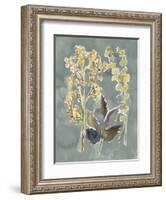 Collected Florals III-Chariklia Zarris-Framed Art Print