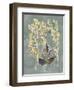 Collected Florals III-Chariklia Zarris-Framed Art Print