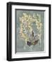 Collected Florals III-Chariklia Zarris-Framed Art Print