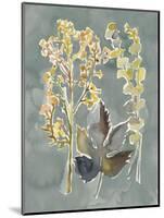 Collected Florals III-Chariklia Zarris-Mounted Art Print