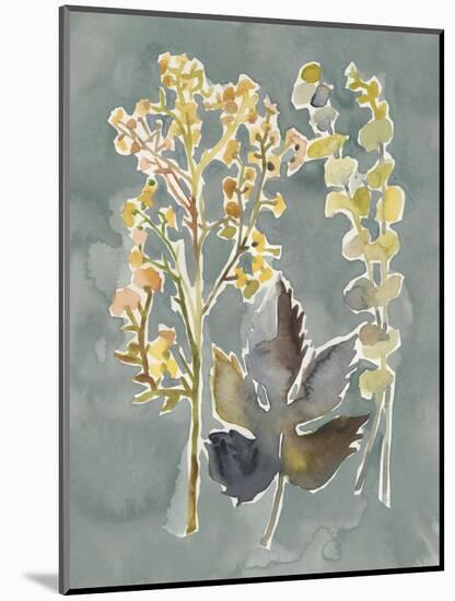 Collected Florals III-Chariklia Zarris-Mounted Art Print