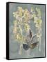 Collected Florals III-Chariklia Zarris-Framed Stretched Canvas