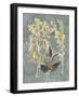 Collected Florals III-Chariklia Zarris-Framed Art Print