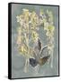Collected Florals III-Chariklia Zarris-Framed Stretched Canvas