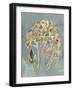 Collected Florals IV-Chariklia Zarris-Framed Art Print