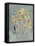 Collected Florals IV-Chariklia Zarris-Framed Stretched Canvas