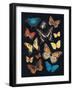 Collected Flutter IV-Victoria Barnes-Framed Art Print